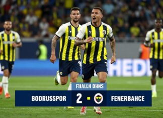 Bodrumspor-Fenerbahçe: Takımın Gelişimi ve Maç Analizi