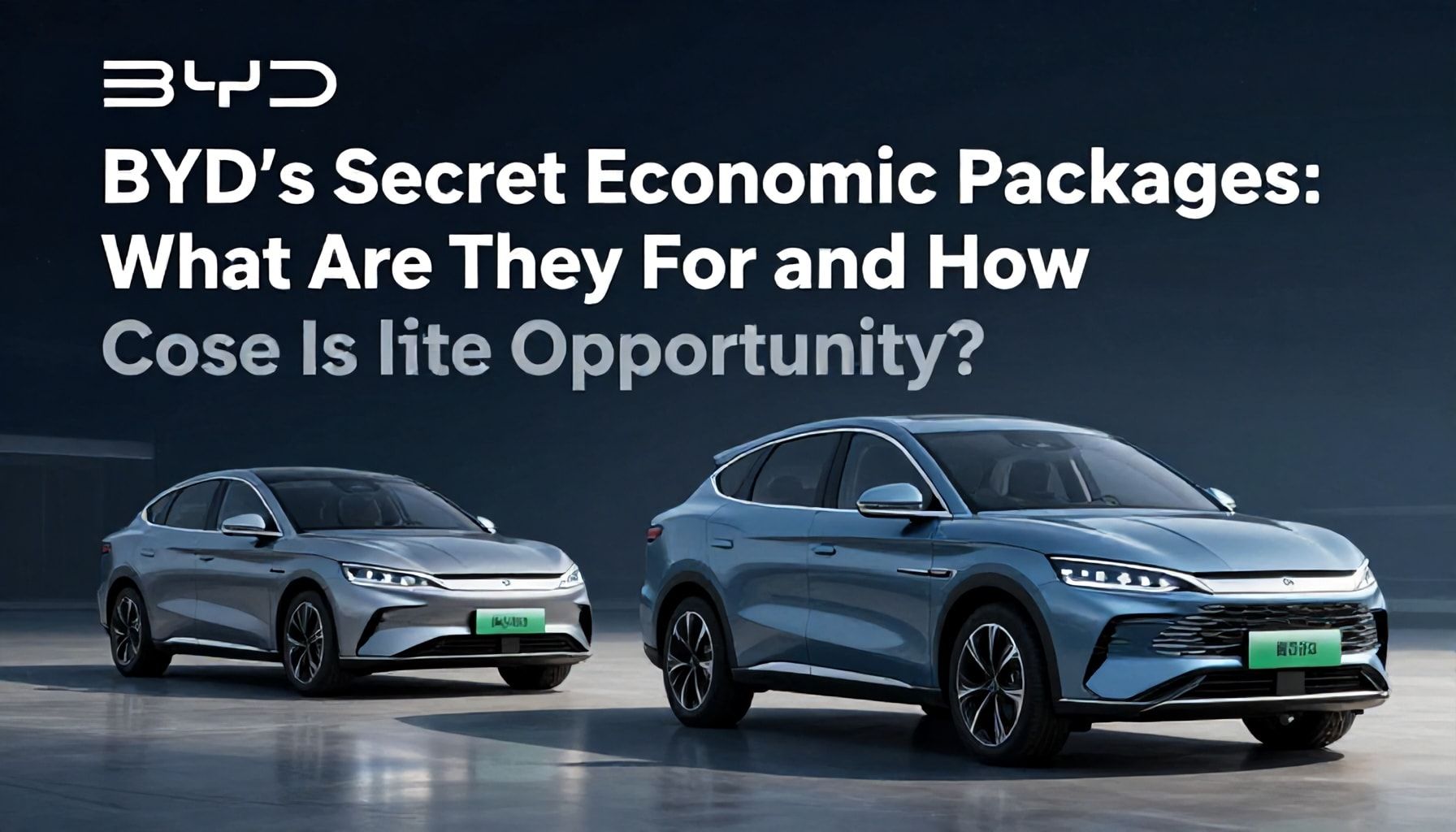 BYD'nin Gizli Ekonomik Paketleri: Ne İçin ve Nasıl Fırsat Yaksın?*