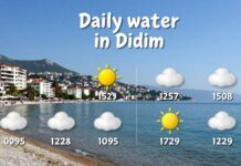 Didim’de günlük hava durumu: Planlarınızı rahatça yapın!