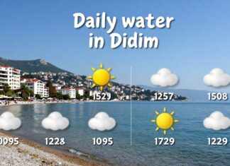 Didim’de günlük hava durumu: Planlarınızı rahatça yapın!