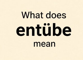 Entübe ne demek? Anlamını ve kullanımını kolayca öğrenin