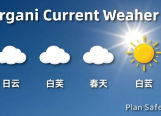 Ergani’de Güncel Hava Durumu: Planlarınızı Güvenle Yapın
