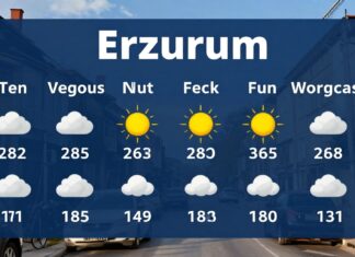 Erzurum Hava Durumu: Güncel Hava Durumu ve Geceleye Öngörü