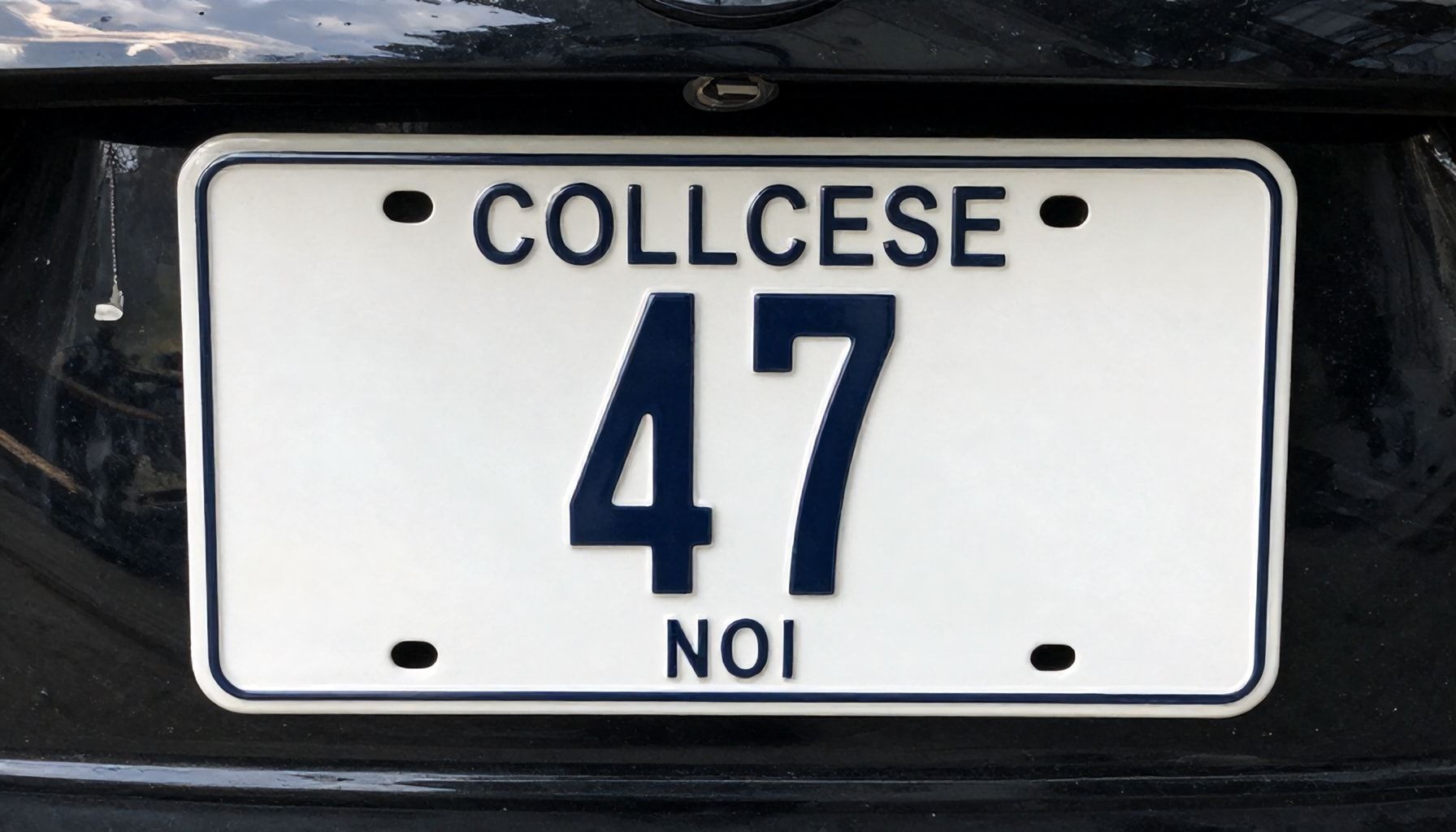 Ev ve İş Yerlerinizi 47 Nerenin Plakasıyla Nasıl Koruyabilirsiniz?*