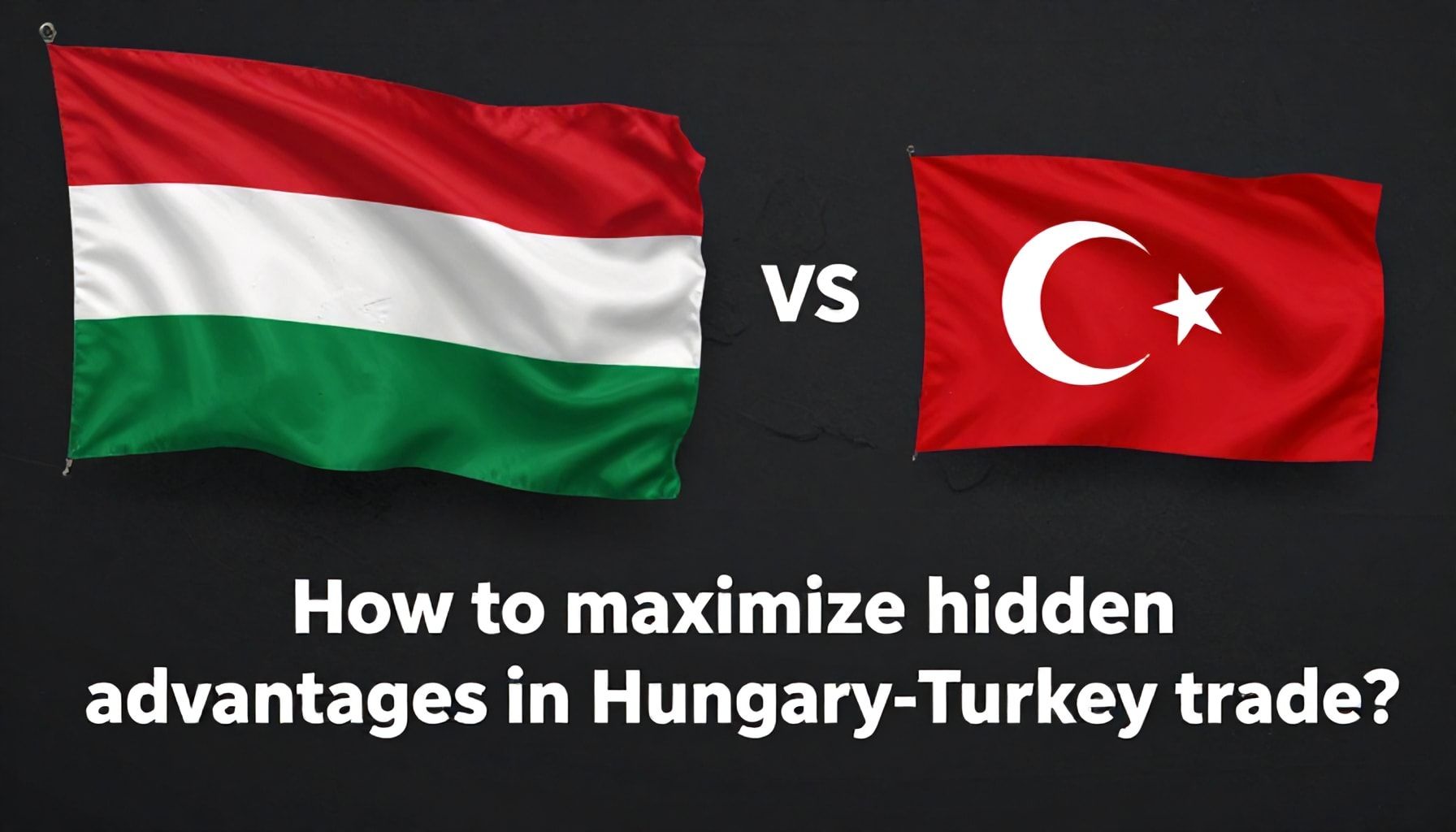 Macaristan-Türkiye ticaretinde gizli avantajlar: Nasıl bu fırsatı maksimize edebilirsiniz?*