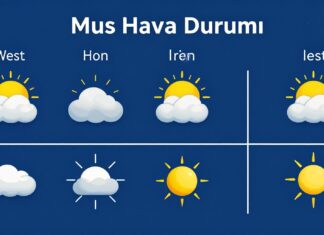 Muş Hava Durumu: Güncel Hava Durumu ve Haftalık Tahminler