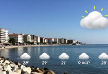 Ödemiş’in Güncel Hava Durumu: Planlarınızı Güzel Bir Günle Başlatın