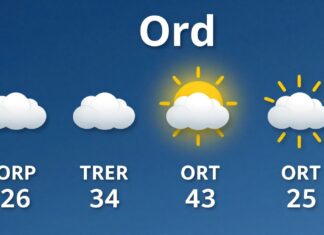 Ordu Hava Durumu: Güncel Hava Durumunu Anında Kontrol Edin