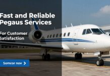 Müşteri Memnuniyeti İçin Hızlı ve Güvenilir Pegasus Hizmetleri