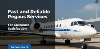 Müşteri Memnuniyeti İçin Hızlı ve Güvenilir Pegasus Hizmetleri