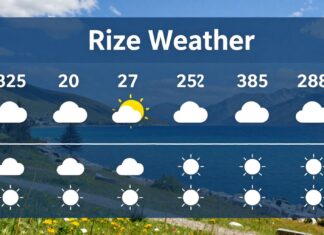 Rize Hava Durumu: Güncel Hava Durumunu Doğru Planlamak İçin Kontrol Edin
