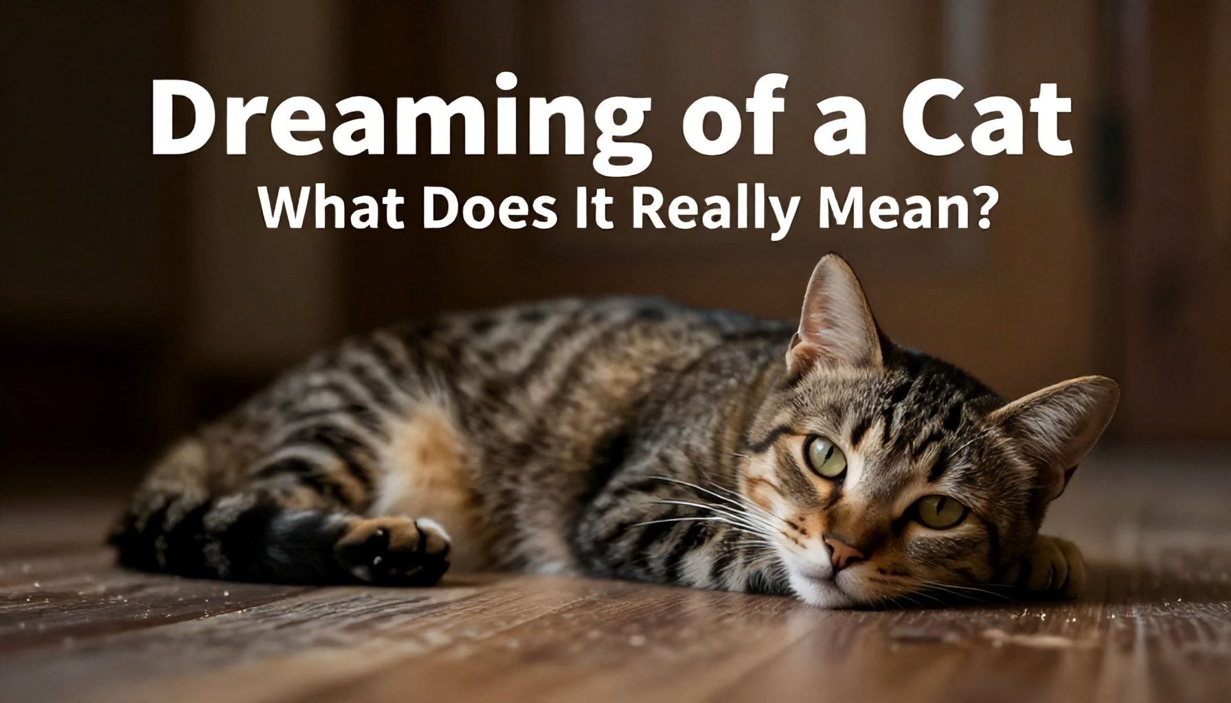 Rüyada Kedi Görmek: Gerçekten Ne Anlama Geliyor?*