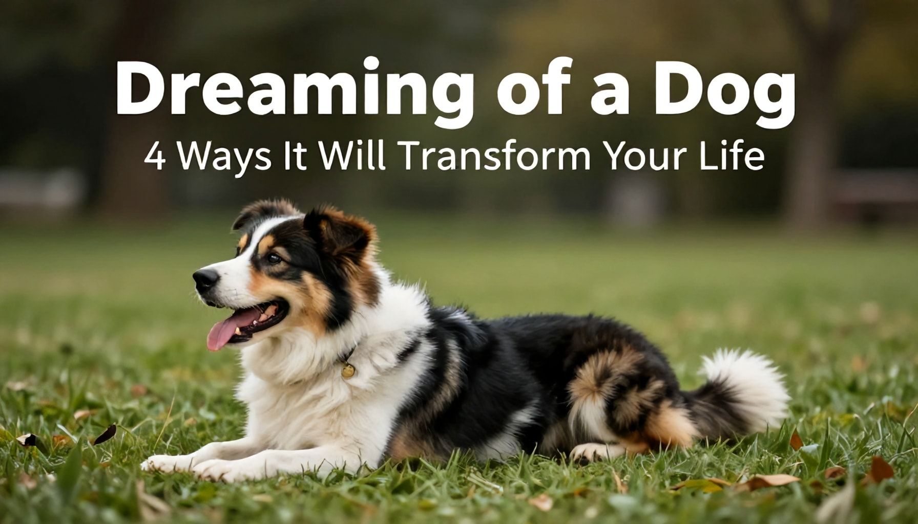 Rüyada Köpek Görmenin 4 Hayatınızı Dönüştürecek Yolu*