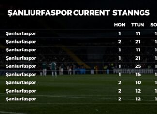 Şanlıurfaspor’un güncel puan durumları ve ligdeki durum analizi