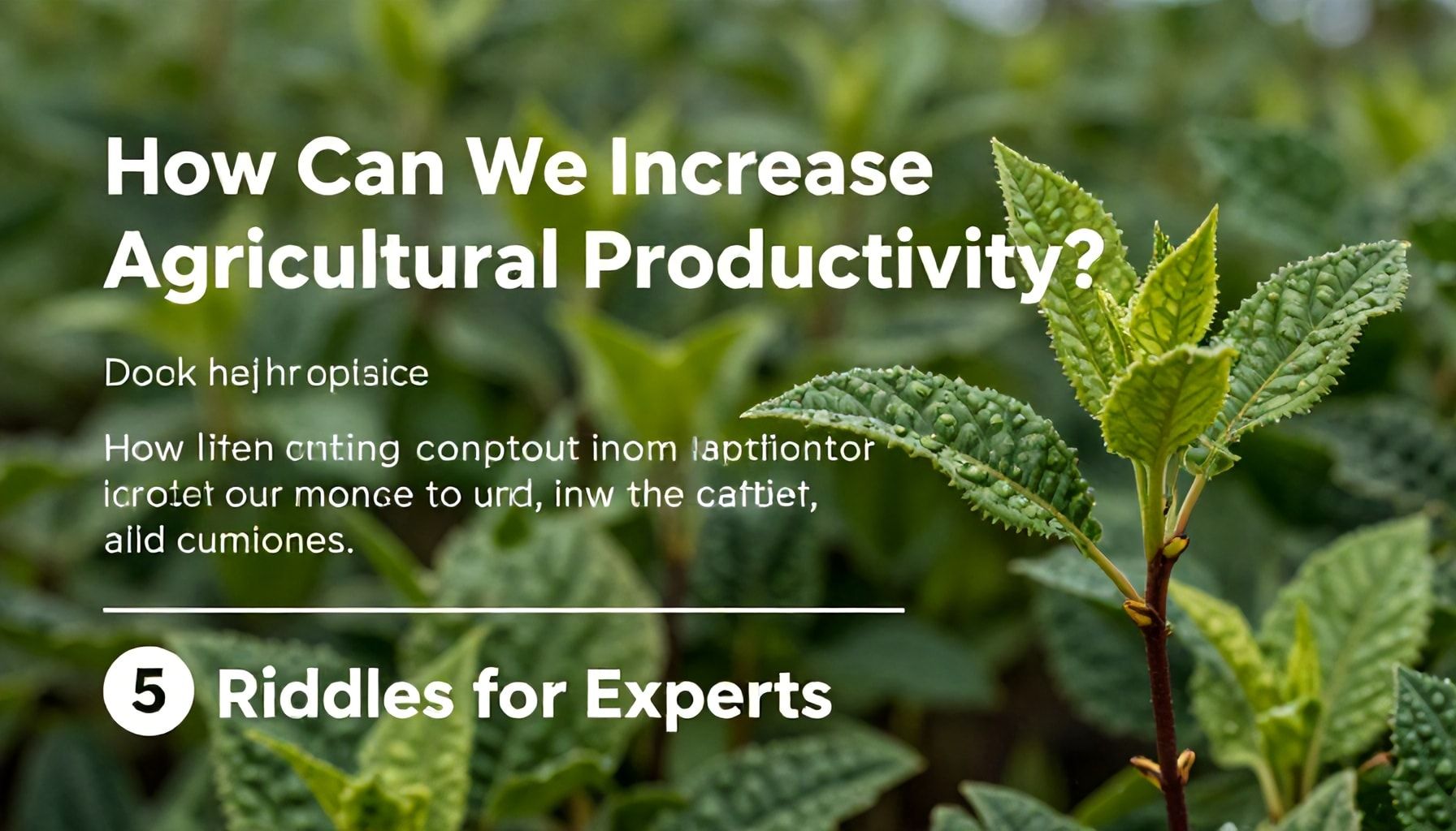 Tarım Verimliliğini Nasıl Artırırız? Uzmanlar İçin 5 Bilmece*