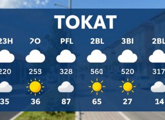 Tokat Hava Durumu: Güncel Hava Durumunu Kontrol Edin ve Planlarınızı Düzenleyin