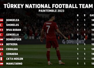 Türkiye Millî Futbol Takımı’nın Güncel Puan Durumu ve Sıralama Bilgisi