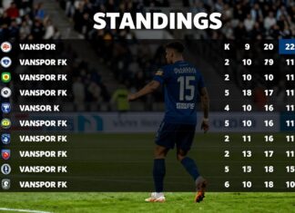 Vanspor FK Puan Durumları: Takımın Sonuçları ve Lig Sıralaması