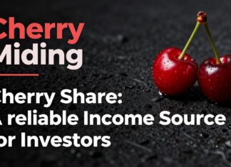 Vişne Madencilik Hissesi: Yatırımcılar İçin Güvenilir Gelir Kaynağı