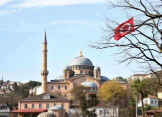 Türkiye’de Yeni Bir Dönem: Ekonomik Yükseliş ve Sosyal Değişim A New Era in Turkey: Economic Growth and Social Change
